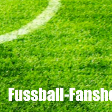 Fussball-Fanshop-24 Logo