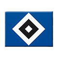 HSV Logo